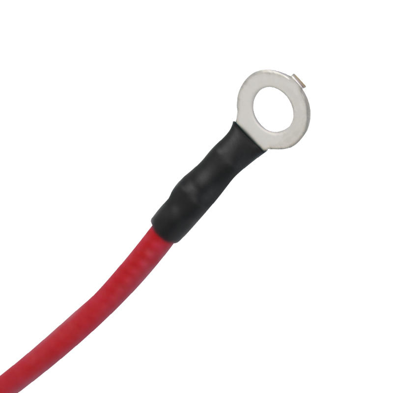 Bedrading snelkookpan Bedrading interne snelkookpan Bedrading snelkookpan Bedrading interne snelkookpan